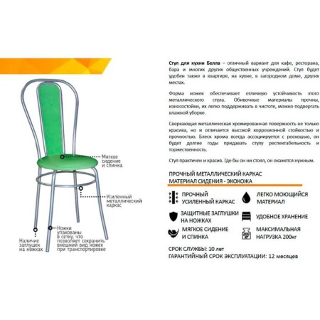 Bella chair Salad/Chrome-4