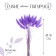 Dry-flowers "Lagurus", set of 30 pcs., The color is light purple