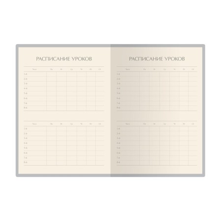 Universal diary for grades 1-11, 48 sheets, fruit rain. Arbuz, cardboard cover, SoftTouch lamination, tinted block-4