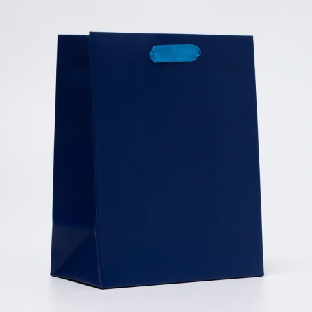 Laminated packet "Blue", MS 18 × 23 × 10 cm