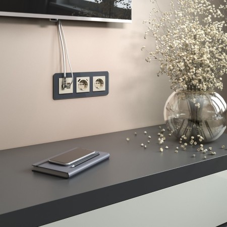 Frame W0032440, 3 Elite sockets, graphite, glass-4