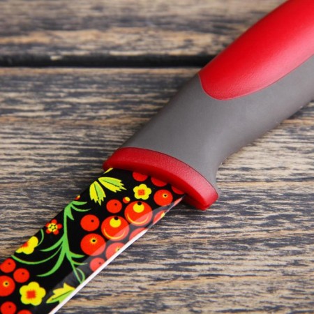 Kitchen knife with an anti -wound coating of the Dilan "Russian pattern", blade 12 cm-1