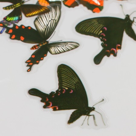 Stickers PVC "Retro butterflies" set 40 pcs 8x7 cm-2