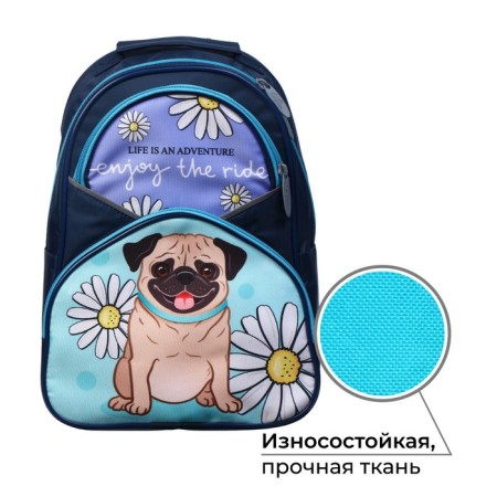 School backpack, 37 x 26 x 13 cm, ergonomic back, calligrata AN "bulldog"-1