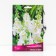 Motenary (Verbaskum) "Violet Flash Ov White", 1 pc, rr I, spring 2025