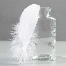 A set of feathers of the goose 13-18 cm, 20 pcs, white