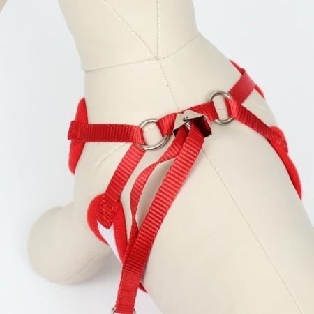 A set with a soft harness and a bow "anchor", size S, leash 120 x 1.5 cm, fire 23-42 cm, red-3