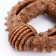 Dog toy "Ring with spikes", tpr+bamboo, 8 cm