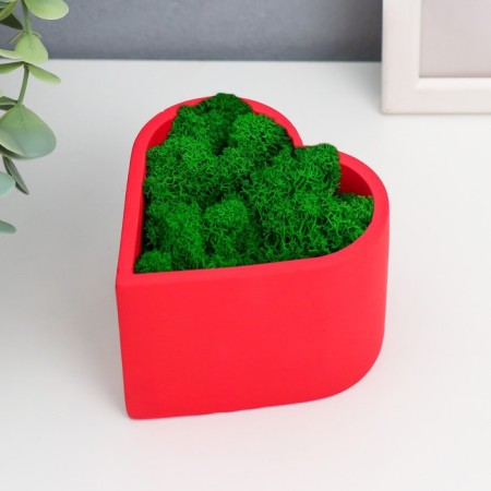 Kashpo concrete "heart" height 6.5 cm red with moss (moss green stabilized)