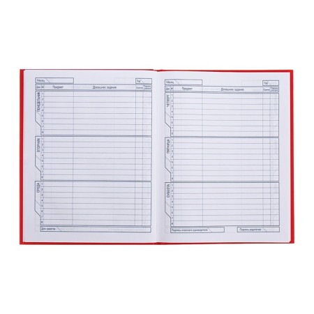 Universal diary for grades 1-11 gold on red, hard cover, matte lamination, 3D foil, 40 sheets-7