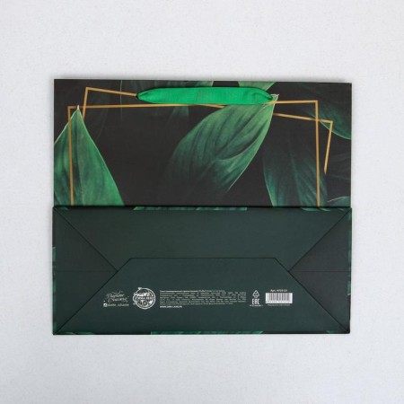 Gift Laminated Horizontal Package, Packaging, Present for You, ML 27 x 23 x 11.5 cm-3