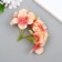Flowers for decorating "hydrangea" yellow 10x10 cm