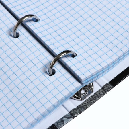 Notebook on rings, 160 sheets in the HIP-HOP cage, hard cover, glossy lamination, shift block 60 g/m2-4