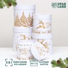 Set of hats 5 in 1 