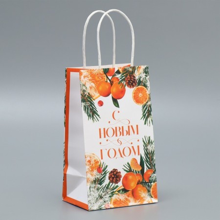 Package Gift Crafts "New Year's Citrus", 12 x 21 x 9 cm, New Year-1