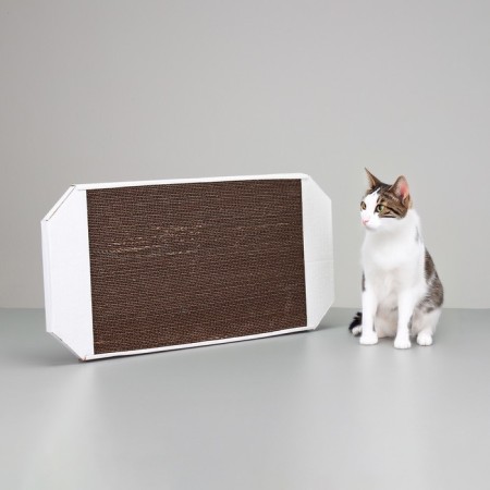 Club-lane from corrugated cardboard, 57 x 28.5 x 2.5 cm-3
