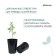 Pot for seedlings, 2 l, d = 14 cm, h = 18 cm, black, greengo