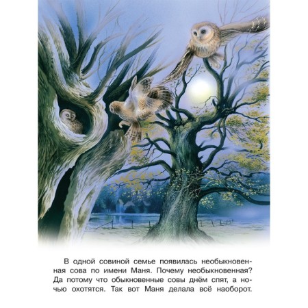 Приключения совы и её друзей. Гурина И.В.-1