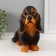The piggy bank "Dachshund" is 19 cm height, width 11 cm, length 23 cm.