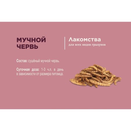 Little One "flour worm" for omnivorous rodents, 70 g-2
