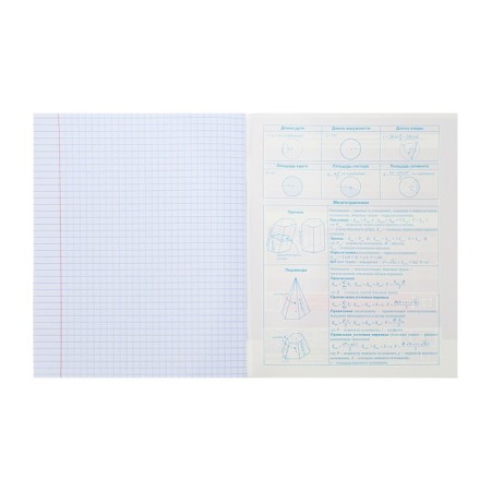 A notebook "Notebook", 48 sheets in the "Geometry" cage, cover coated cardboard, selective varnish, with reference material-3
