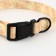 Collar of Paradise Life, fastener - Fastx, 2.5 cm, 40-55 cm