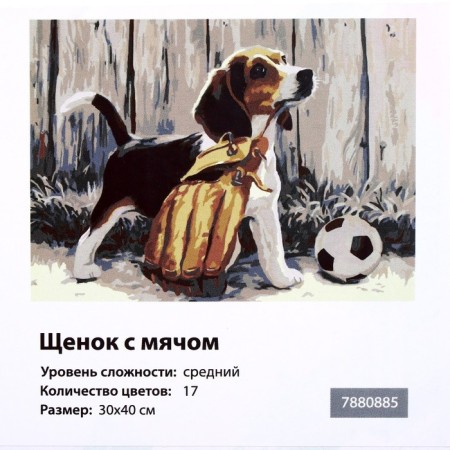Picture on numbers on a canvas with a subframe "Puppy with a ball", 40 x 30 cm-5