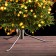 Fir -tree stand, diameter 42 mm