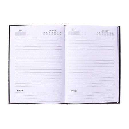 The diary is inherent in the stitch, A5, 80 sheets, cardboard 7BC, glossy lamination, Beardman,-2