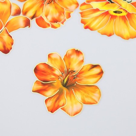 Stickers for creativity "Orange flowers" set 10 pcs 0.2x8.5x13.3 cm-1