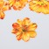 Stickers for creativity "Orange flowers" set 10 pcs 0.2x8.5x13.3 cm