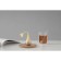 Seitchet for brewing teas Viva Scandinavia Infusion Egg