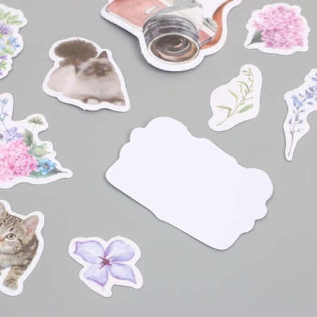 Stickers for creativity "Cats, flowers and photos" 3.5x5 cm set 40 pcs 9.4x8.4x0.5 cm-2