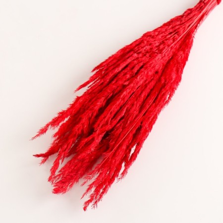 Set of dried flowers "Weinik", banch length 65 (+/- 6 cm), red-2