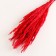 Set of dried flowers "Weinik", banch length 65 (+/- 6 cm), red