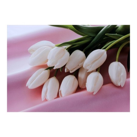 Picture on canvas "White Tulips" 50*70 cm