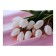 Picture on canvas "White Tulips" 50*70 cm