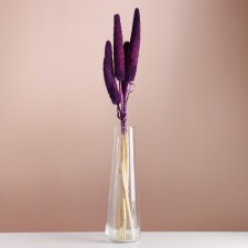 Set of dried flowers 