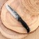 Hunting knife "Sarych" steel - 50x14, handle - wood, 25 cm