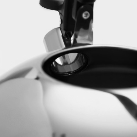 A kettle with a stainless steel whistle "family", 2.8 liters-4