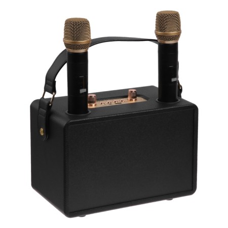 Portable karaoke system M4202+, 25 W, 3600 mAh. 2 microphone, black-2