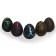 Growing animals in the black egg "Dinosaurian Country"