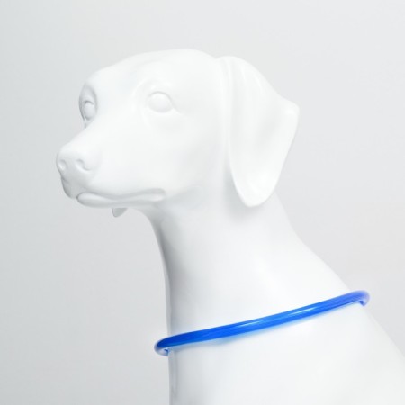Collar - backlight ring, charging from USB, up to 70 cm, 3 glow modes, blue-2