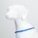 Collar - backlight ring, charging from USB, up to 70 cm, 3 glow modes, blue