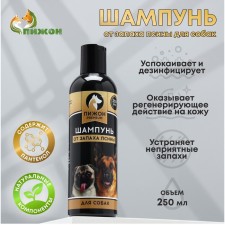 Shampoo 