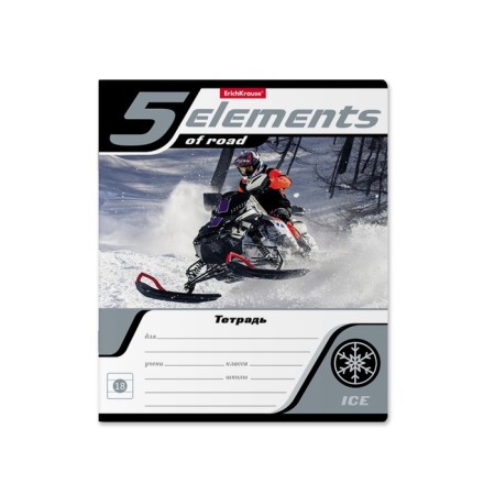 Notebook of 18 sheets in the Erichkrause 5 Elements line, covered cardboard, block offset, whiteness 100% whiteness, mix-4