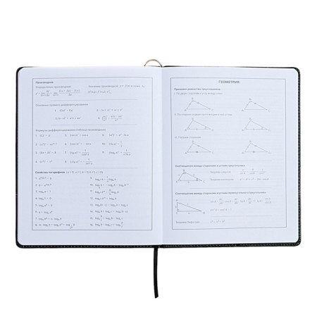 Universal Diary Grade 1-11, 48 sheets "Princess-ballerina", solid cover of artificial leather, lies, universal cheat sheet, block 80 g/m2-12