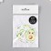 Stickers stickers for scrapbooking "Avocadics" 9-343