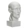 Gypsum figure is anatomical: head on the Goodon, 22 x 22 x 48 cm