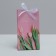 Gift package with a ribbon, packaging, "the most beautiful", 13 x 23 x 7 cm